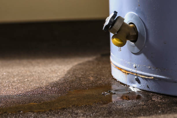 Best Flood damage cleanup  in Sun Valley, PA