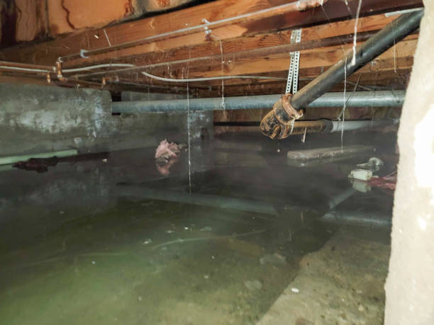 Best Emergency water damage restoration  in Sun Valley, PA
