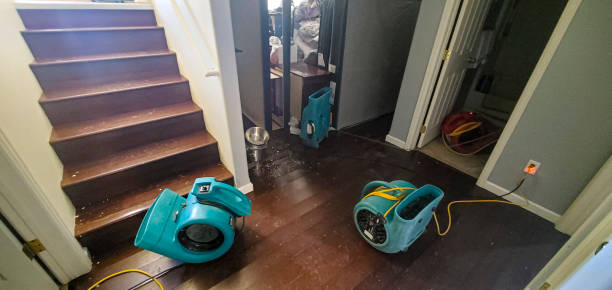 Best Water damage restoration near me  in Sun Valley, PA