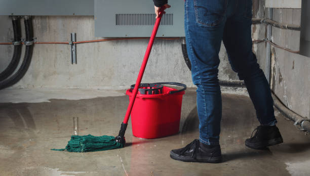  Sun Valley, PA Water damage restoration Pros