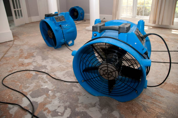 Best Local water damage restoration  in Sun Valley, PA