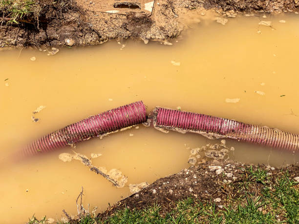 Best Water damage cleanup near me  in Sun Valley, PA